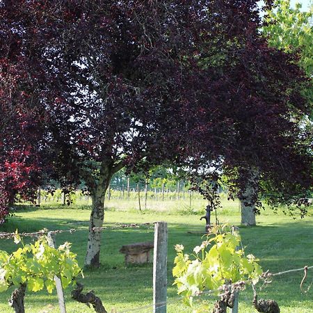 La Vigneraie De Laura Bed and Breakfast Sainte-Colombe  Εξωτερικό φωτογραφία